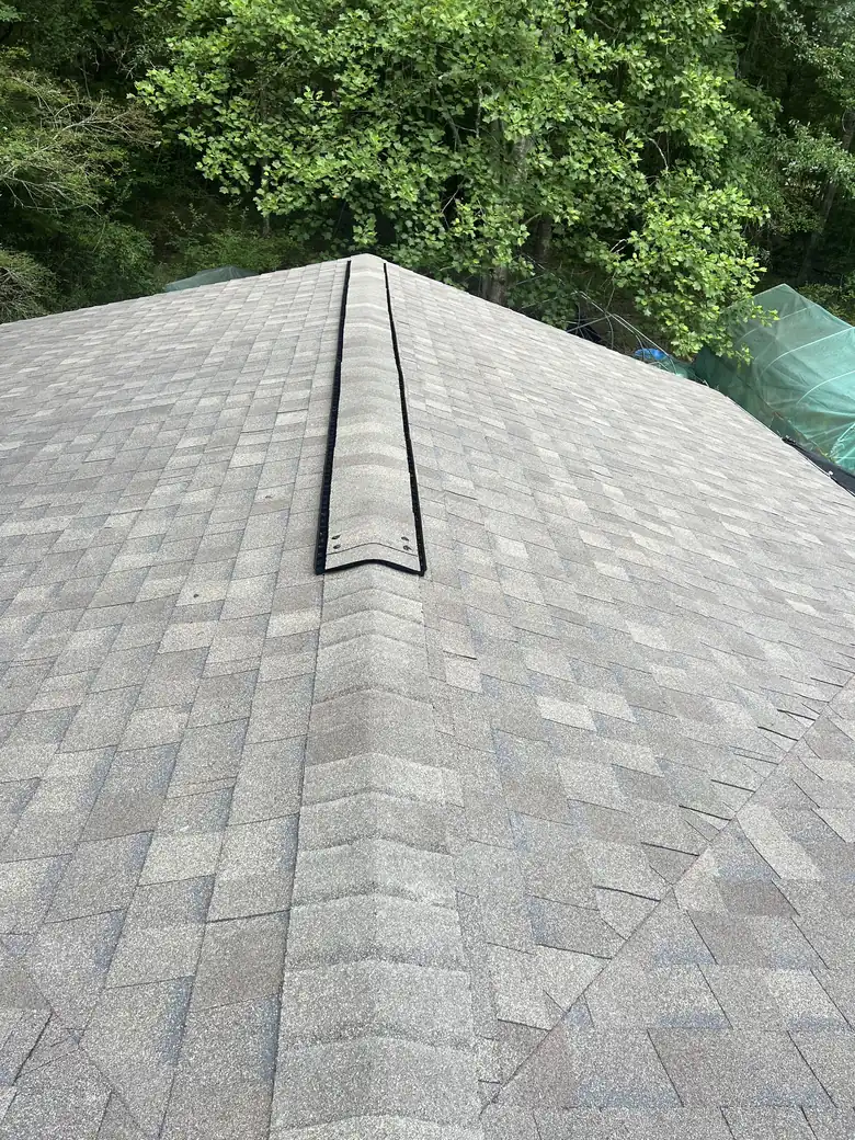 Finished shingle roof ridge surrounded by Georgia pine trees